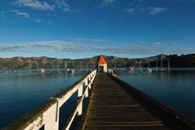 Akaroa-8136