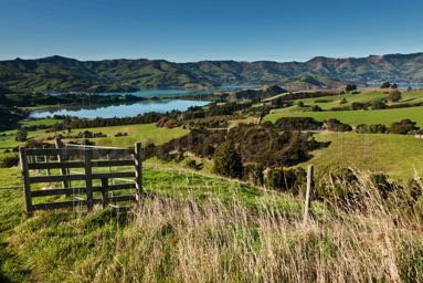 Akaroa-8248