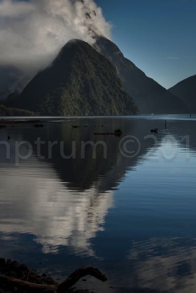 MilfordSound-5275