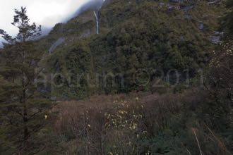 MilfordSound-5322