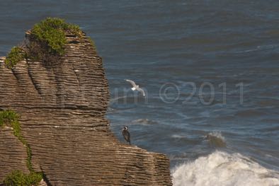 PunakaikiCoast-76