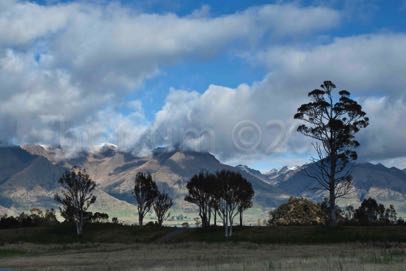 Wakatipu-5754